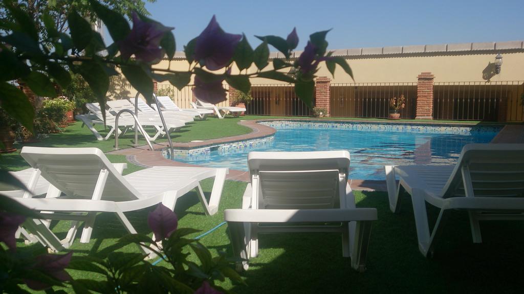 Nohal Appartement *